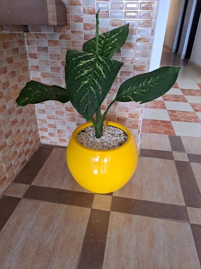 Golden Guest House- Miritini مومباسا المظهر الخارجي الصورة